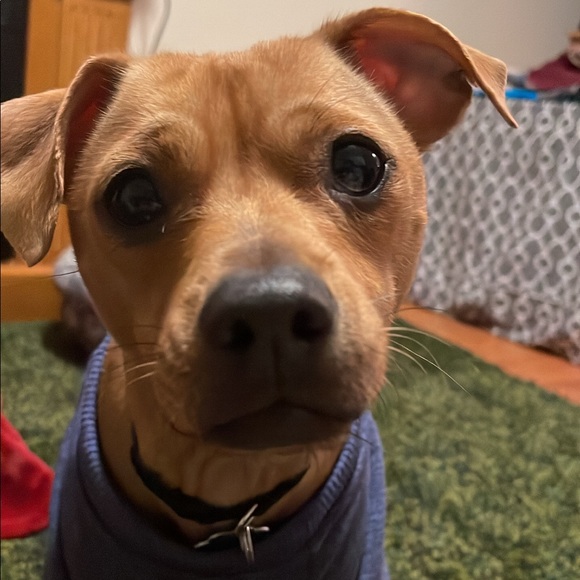 Meet your Posher, Joanna - Picture 2 of 3